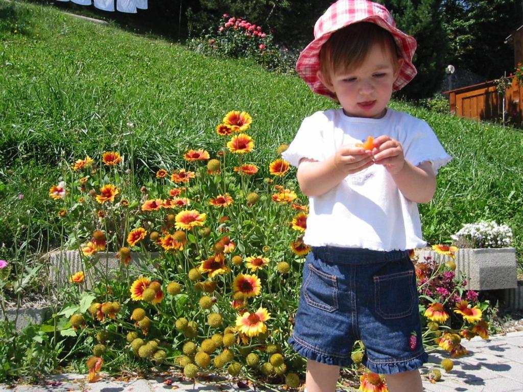 Nature Residence Telfnerhof Laion Dış mekan fotoğraf